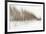 Birch Blur I-Larry Malvin-Framed Photographic Print