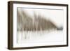 Birch Blur I-Larry Malvin-Framed Photographic Print