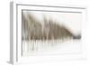 Birch Blur I-Larry Malvin-Framed Photographic Print