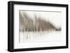 Birch Blur I-Larry Malvin-Framed Photographic Print