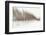 Birch Blur I-Larry Malvin-Framed Photographic Print