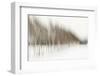 Birch Blur I-Larry Malvin-Framed Photographic Print