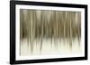 Birch Blur II-Larry Malvin-Framed Photographic Print