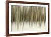 Birch Blur II-Larry Malvin-Framed Photographic Print