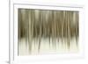 Birch Blur II-Larry Malvin-Framed Photographic Print