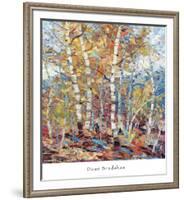 Birch Colors 1-Dean Bradshaw-Framed Art Print