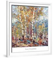 Birch Colors 1-Dean Bradshaw-Framed Art Print