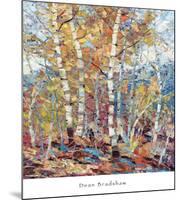 Birch Colors 1-Dean Bradshaw-Mounted Art Print