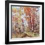 Birch Colors 3-Bradshaw-Framed Giclee Print