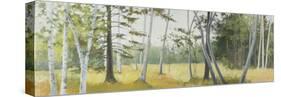 Birch Field-Elissa Gore-Stretched Canvas