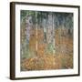 Birch Forest, 1903-Gustav Klimt-Framed Art Print