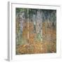 Birch Forest, 1903-Gustav Klimt-Framed Art Print