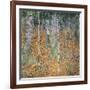 Birch Forest, 1903-Gustav Klimt-Framed Art Print