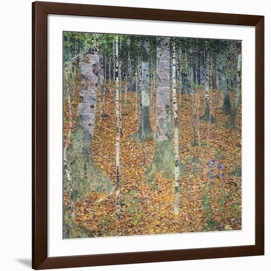 Birch Forest, 1903-Gustav Klimt-Framed Art Print