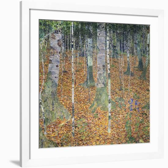Birch Forest, 1903-Gustav Klimt-Framed Art Print