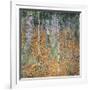 Birch Forest, 1903-Gustav Klimt-Framed Art Print