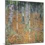 Birch Forest, 1903-Gustav Klimt-Mounted Art Print