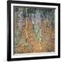 Birch Forest, 1903-Gustav Klimt-Framed Art Print