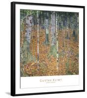 Birch Forest, 1903-Gustav Klimt-Framed Art Print