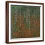 Brown Frame