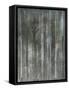 Birch Forest Abstracts II-Jodi Fuchs-Framed Stretched Canvas