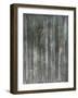 Birch Forest Abstracts II-Jodi Fuchs-Framed Art Print