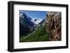 Birch Forest, Amanauz Valley Near Dombay, Teberdinsky Biosphere Reserve, Caucasus, Russia, July-Schandy-Framed Photographic Print