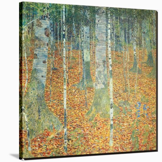 Birch Forest, c.1903-Gustav Klimt-Stretched Canvas