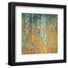 Birch Forest, c.1903-Gustav Klimt-Framed Premium Giclee Print