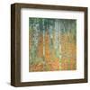 Birch Forest, c.1903-Gustav Klimt-Framed Premium Giclee Print