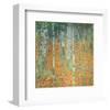 Birch Forest, c.1903-Gustav Klimt-Framed Premium Giclee Print