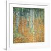 Birch Forest, c.1903-Gustav Klimt-Framed Premium Giclee Print