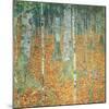 Birch Forest, c.1903-Gustav Klimt-Mounted Premium Giclee Print