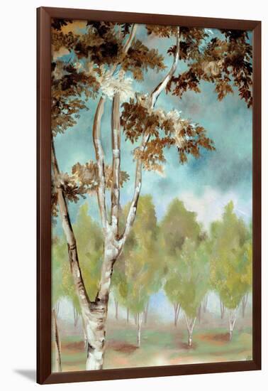 Birch Forest I-Margaret Ferry-Framed Art Print