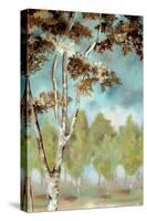 Birch Forest I-Margaret Ferry-Stretched Canvas