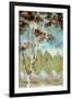 Birch Forest I-Margaret Ferry-Framed Art Print