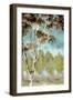 Birch Forest I-Margaret Ferry-Framed Art Print