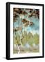 Birch Forest I-Margaret Ferry-Framed Art Print