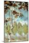 Birch Forest I-Margaret Ferry-Mounted Art Print