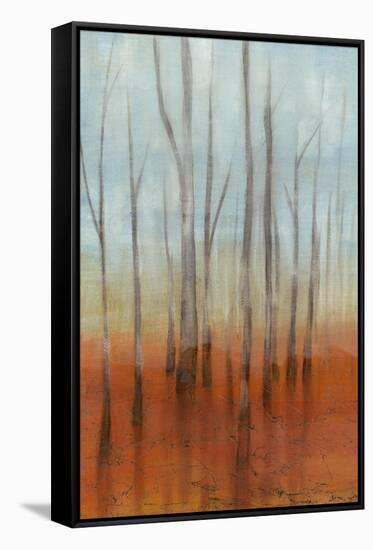 Birch Forest I-Jennifer Goldberger-Framed Stretched Canvas