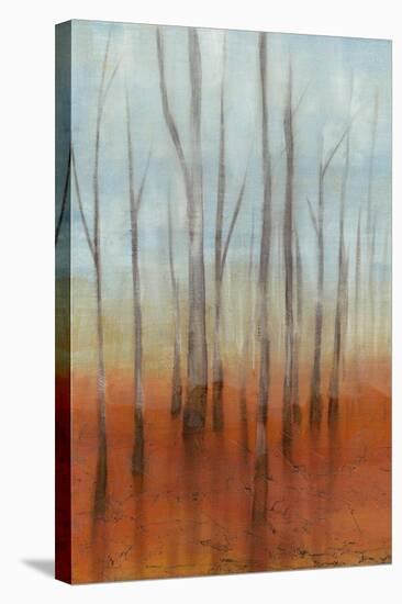 Birch Forest I-Jennifer Goldberger-Stretched Canvas