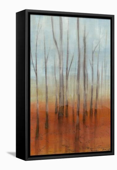 Birch Forest I-Jennifer Goldberger-Framed Stretched Canvas