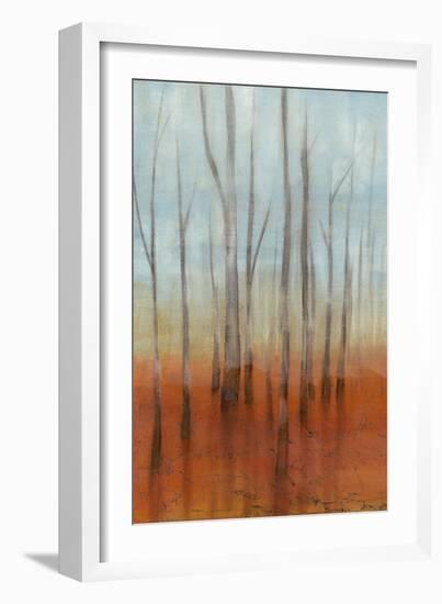 Birch Forest I-Jennifer Goldberger-Framed Art Print