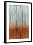 Birch Forest I-Jennifer Goldberger-Framed Art Print