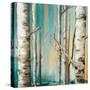 Birch Forest II-Patricia Pinto-Stretched Canvas