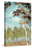 Birch Forest II-Margaret Ferry-Stretched Canvas