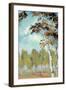 Birch Forest II-Margaret Ferry-Framed Art Print