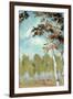 Birch Forest II-Margaret Ferry-Framed Art Print