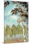 Birch Forest II-Margaret Ferry-Mounted Art Print