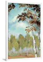 Birch Forest II-Margaret Ferry-Framed Art Print